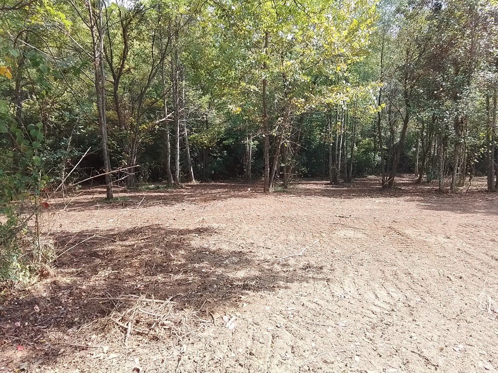 Picture 28