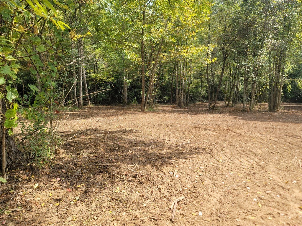 Picture 26