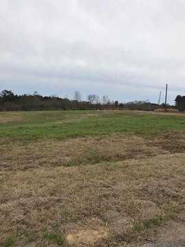 Residential Land in Oak Haven