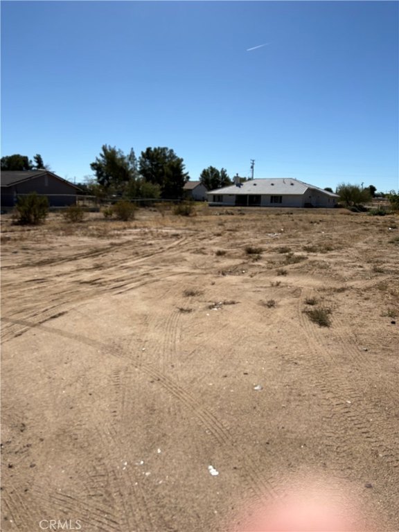 Picture 6