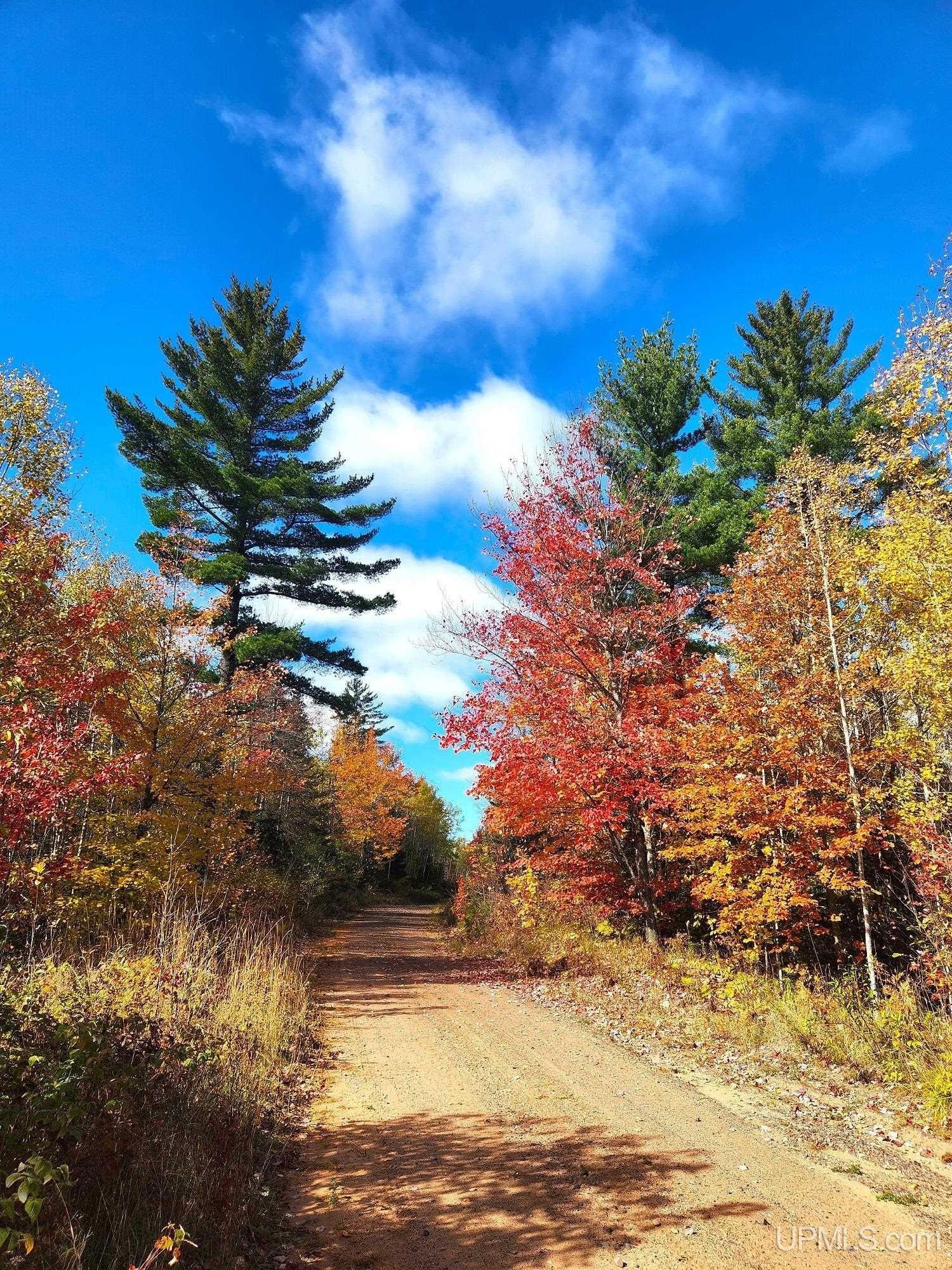 120 Acres Near Gwinn, MI