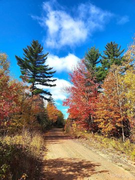 120 Acres Near Gwinn, MI