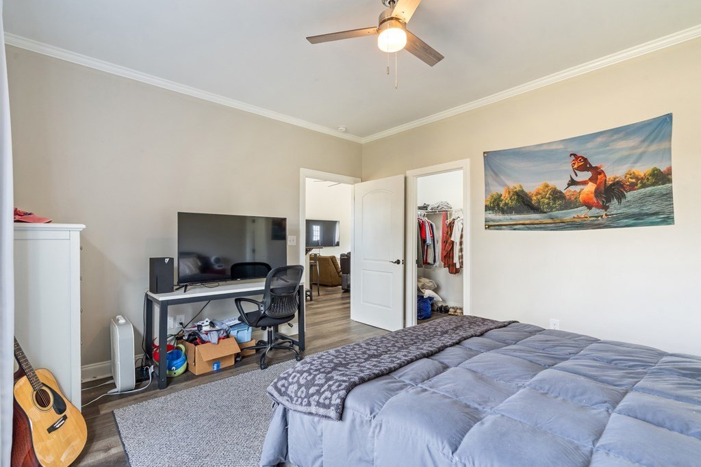 Picture 21