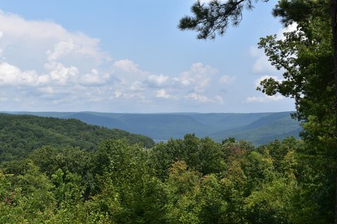 Land, Guild, TN