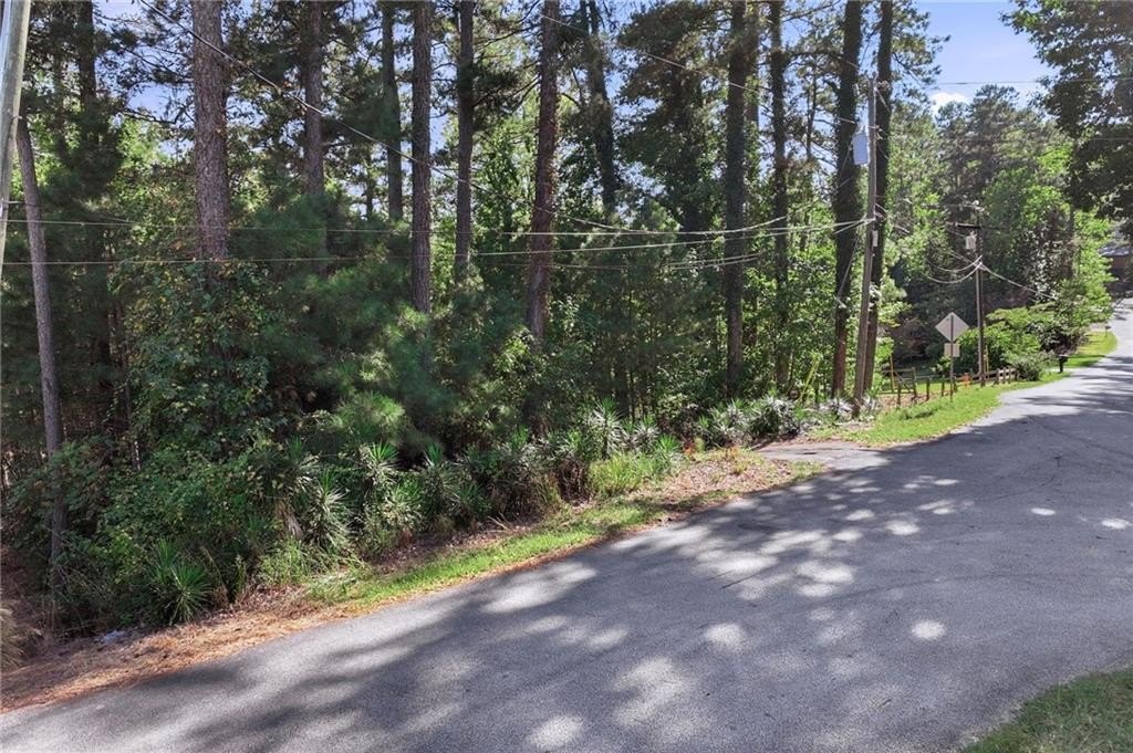 Picture 8