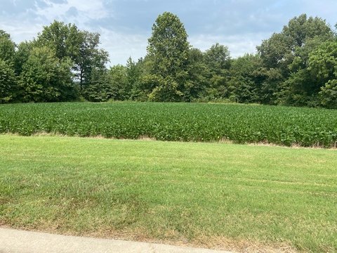 Residential Land in Timber Creek