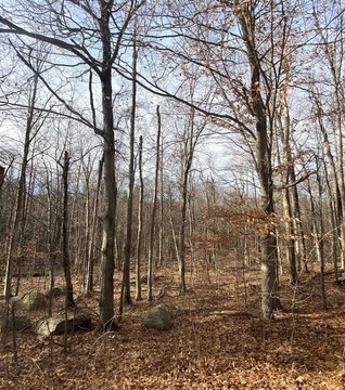 Zoned Building Lot with Wastewater Permit