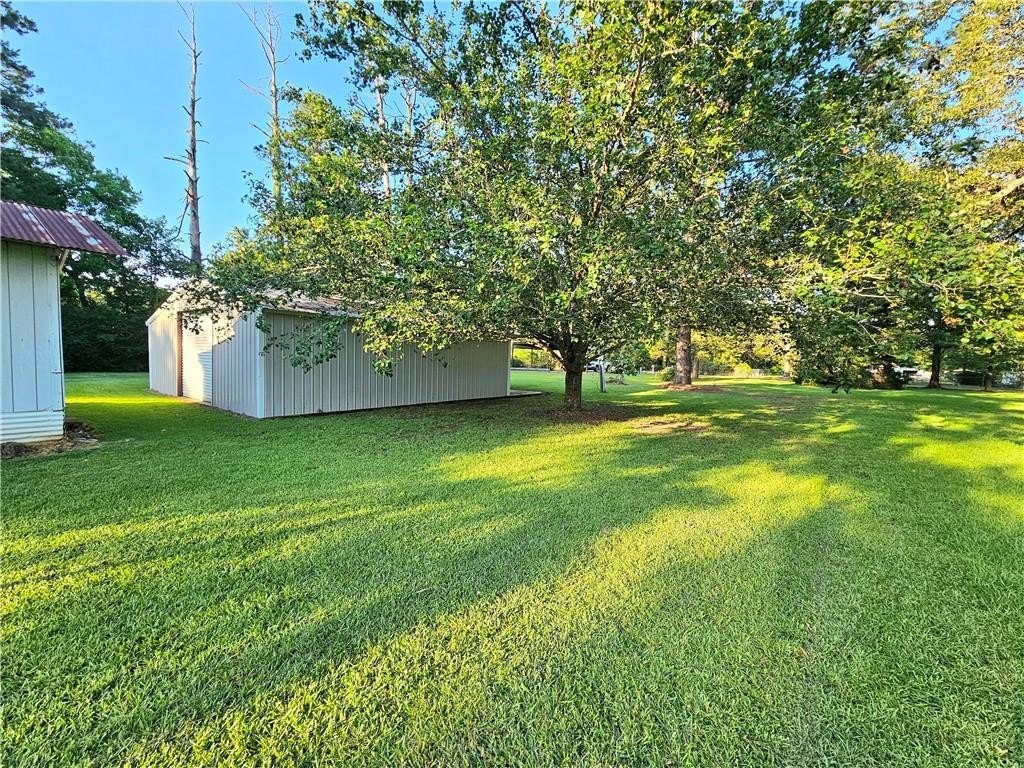 Picture 11