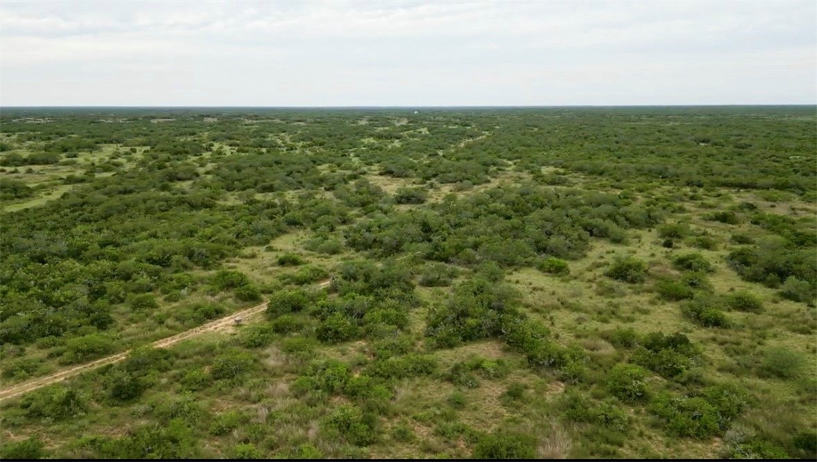 50+ Acres Ranch Land, Falfurrias