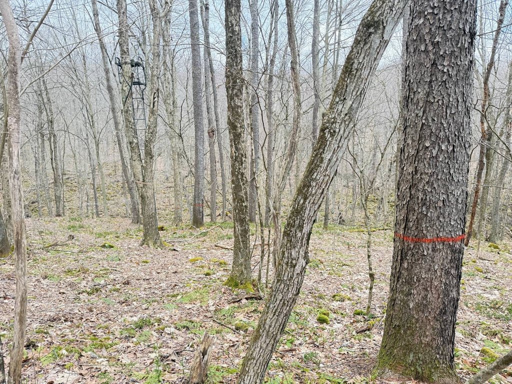 Picture 21