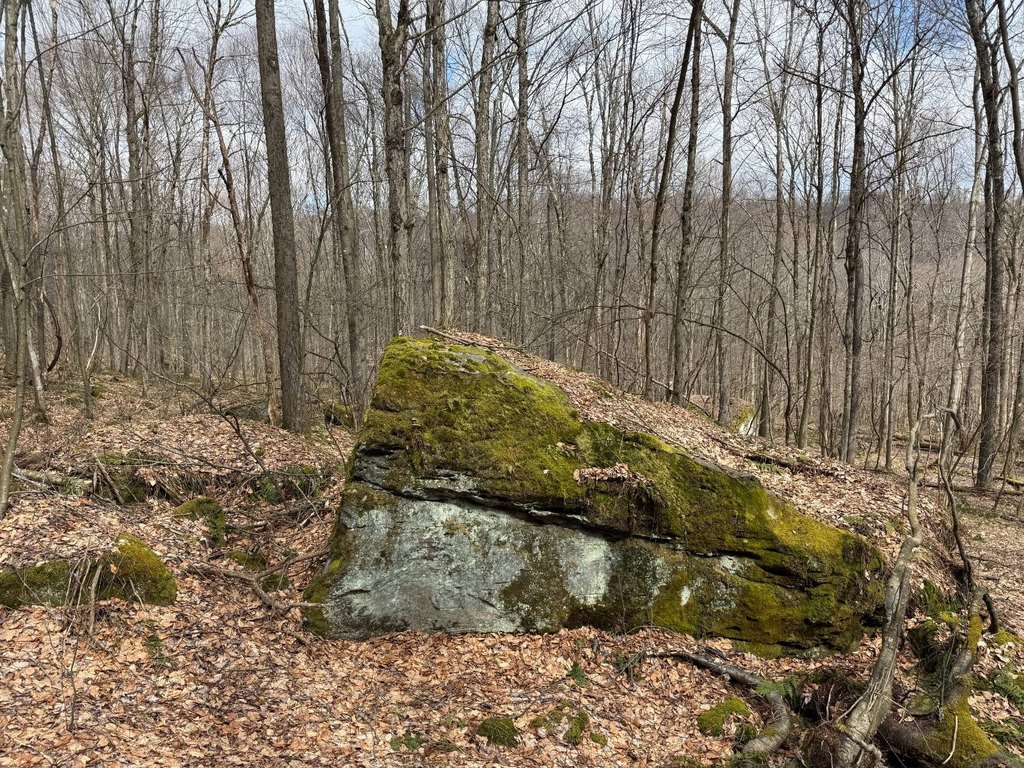 Picture 19