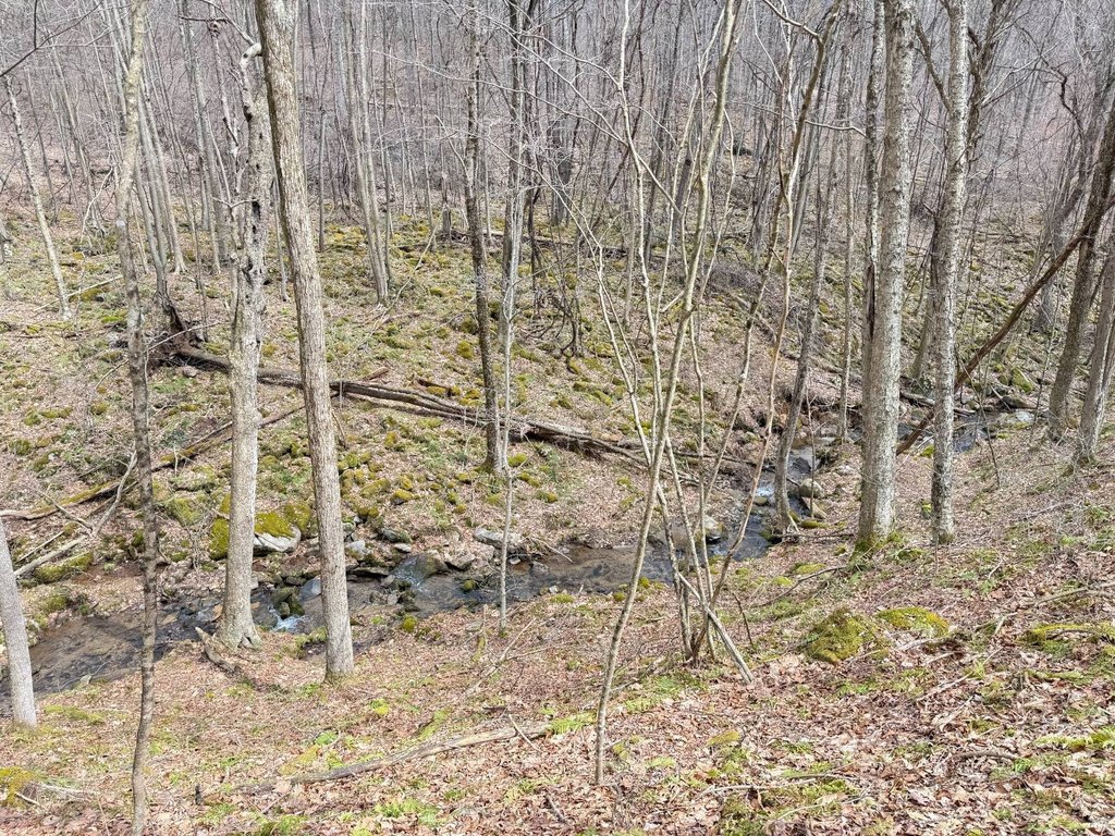 Picture 24
