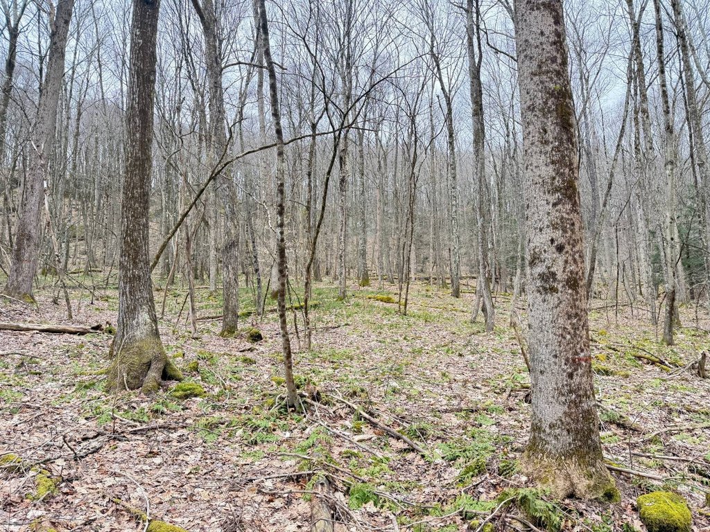 Picture 22