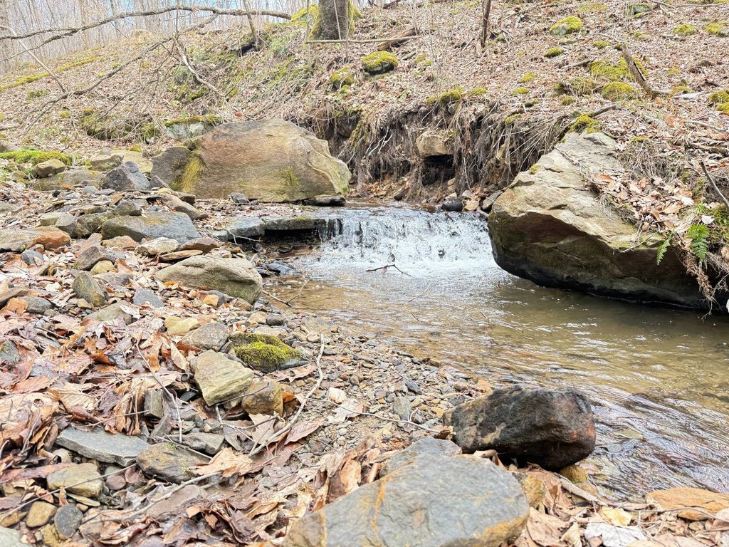 Picture 27