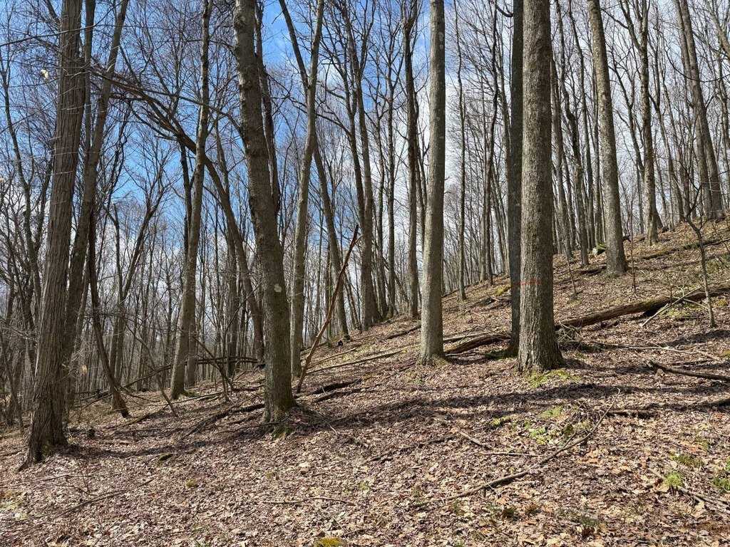 Picture 18
