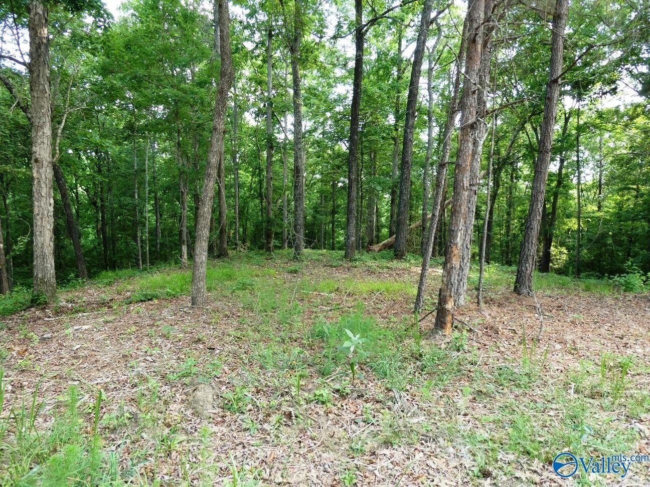 Jasper, AL Land For Sale