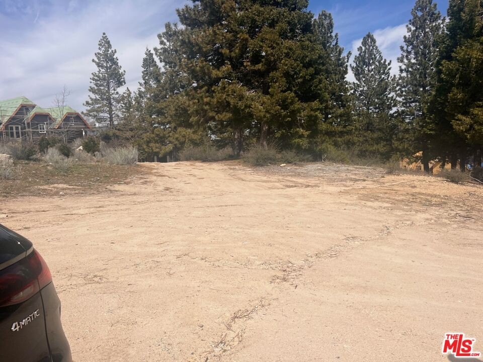 Picture 9