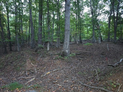 Land, Moneta, VA