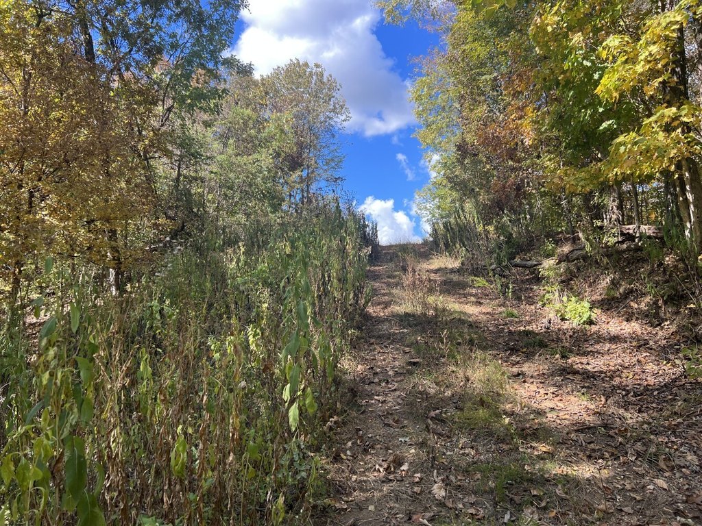 Picture 14