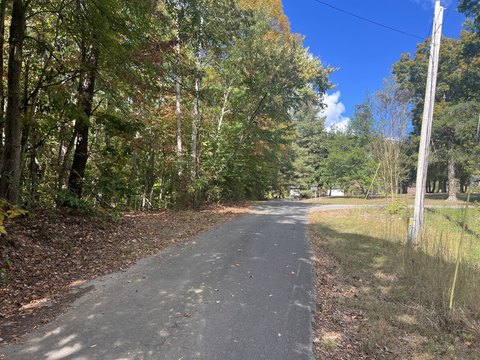 Wooded Mountain View Land Parcel