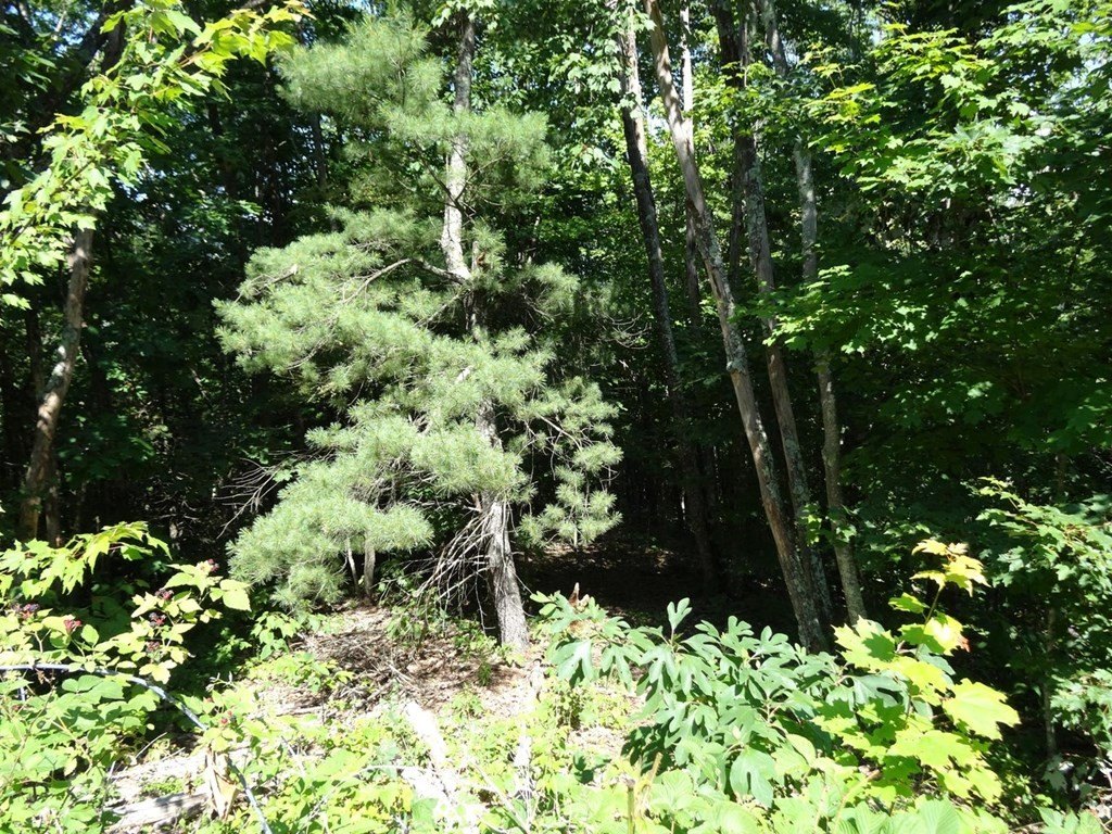 Picture 13