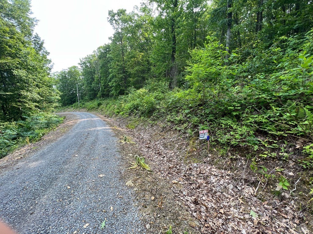 Picture 5