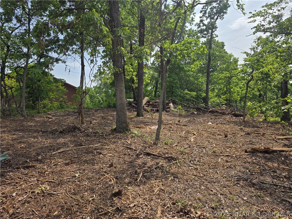 Picture 6