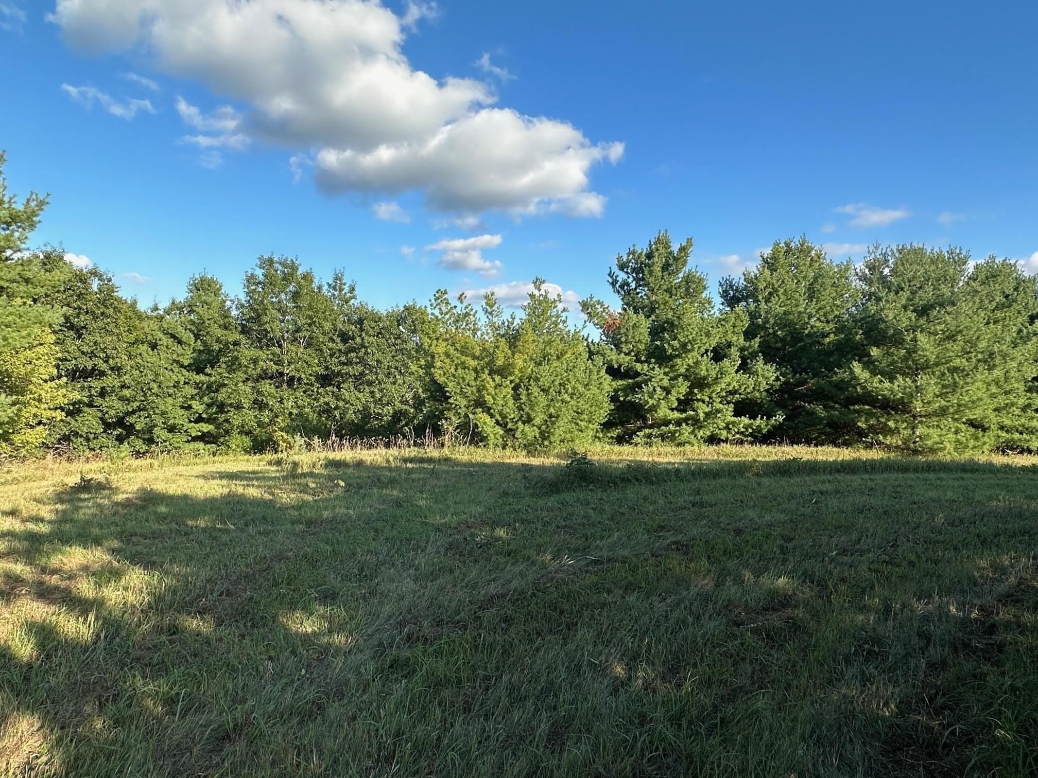 Verona Wooded Lot For Sale