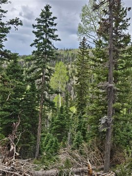 Residential Lot Near Eagle Point