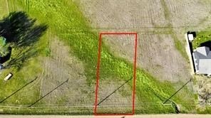 Picture 2
