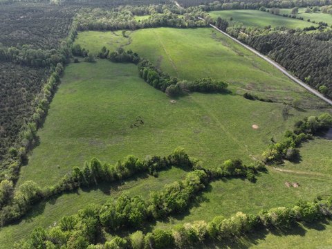 59.39 Acres in Cove, AR
