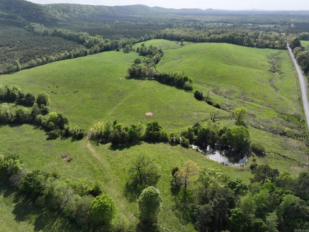 Picture 17