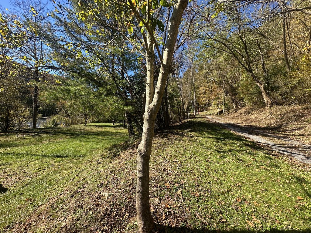 Picture 23