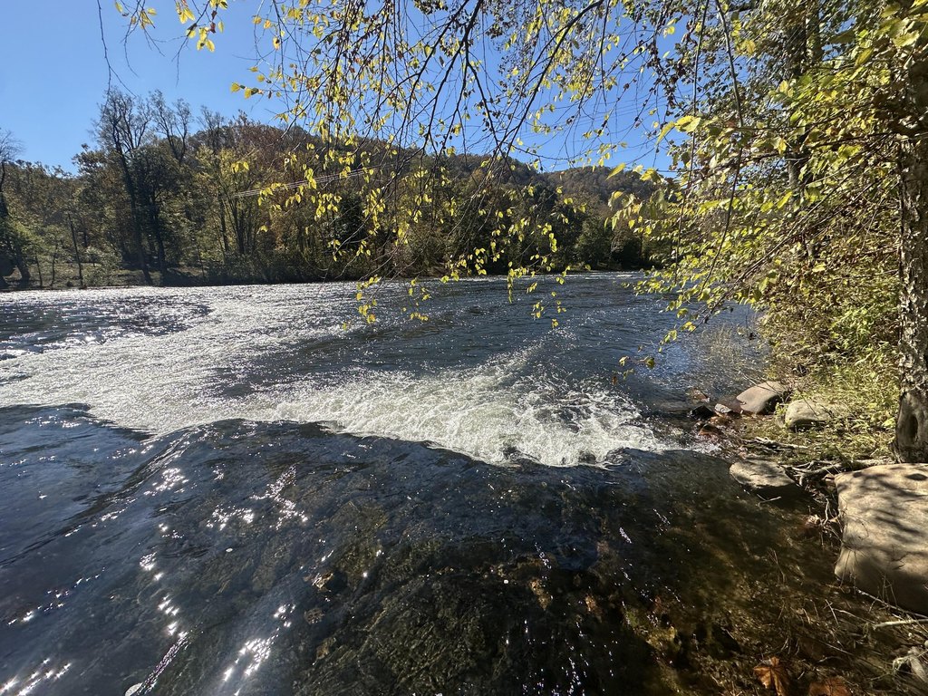 Picture 15