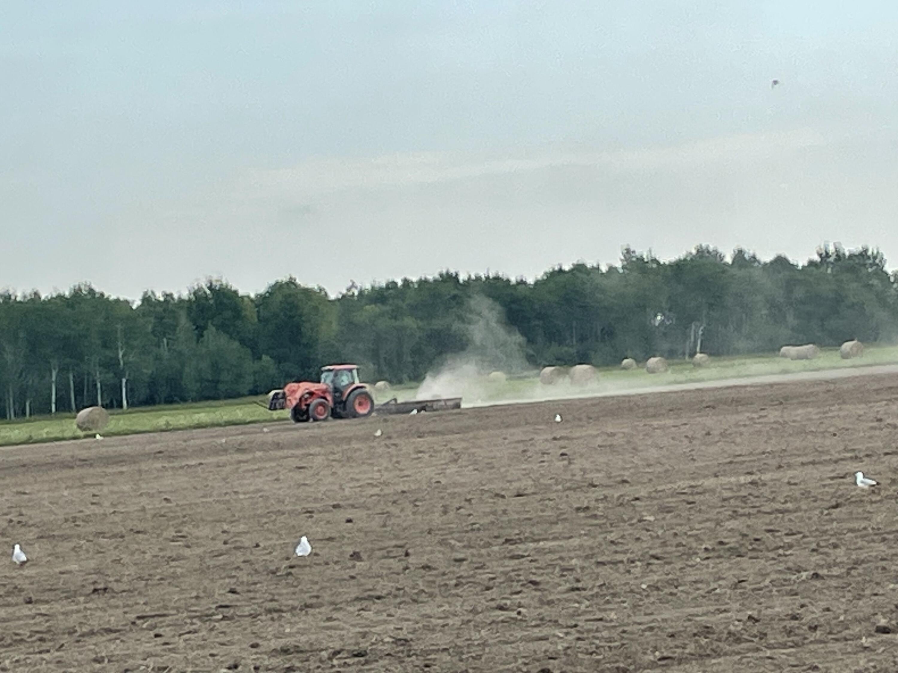 Productive Land in Rudyard, MI