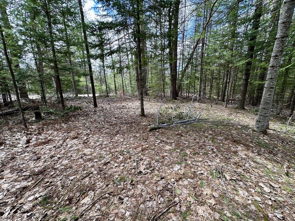 Picture 18