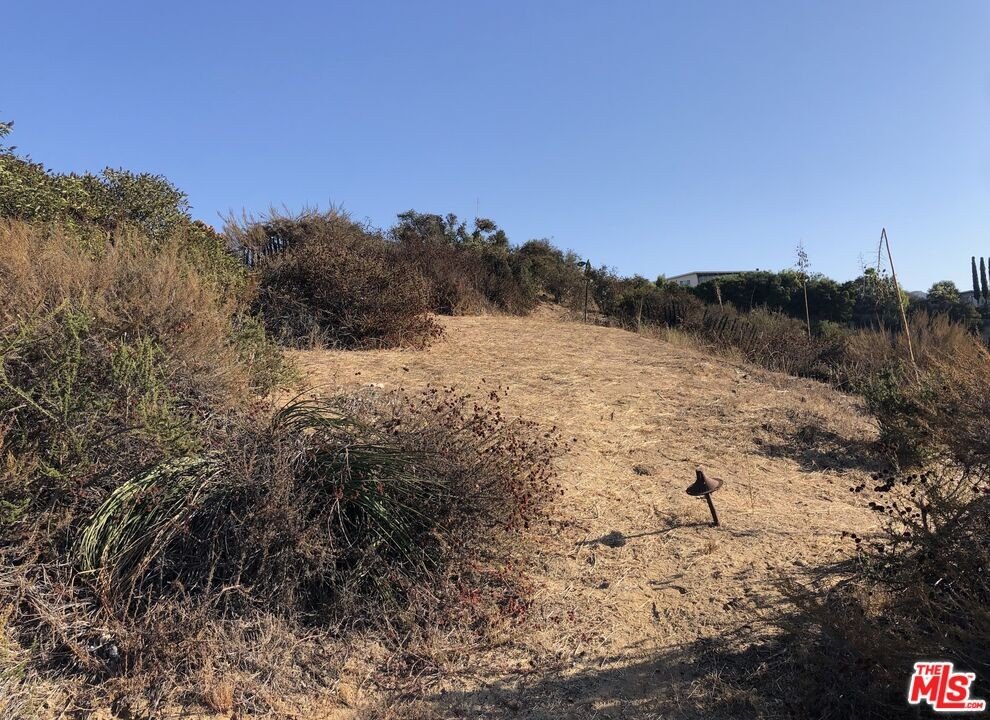 Picture 19