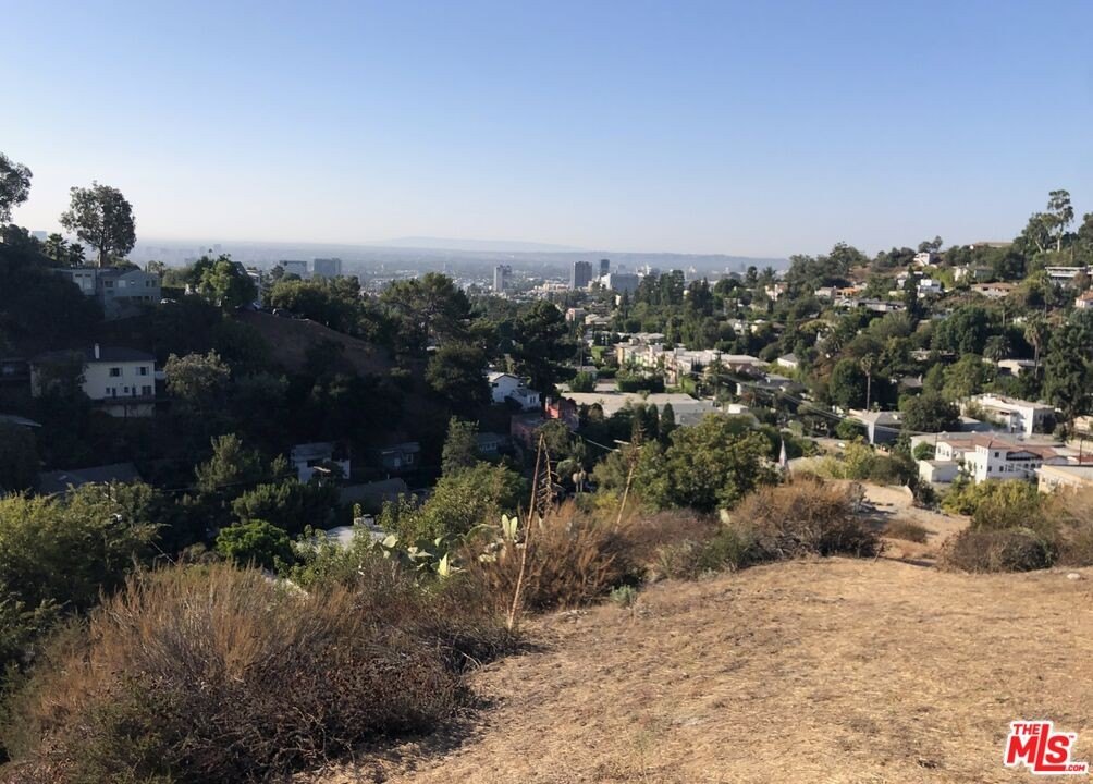 Picture 16