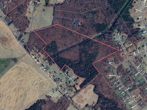 55.72 Acres of Wooded Land