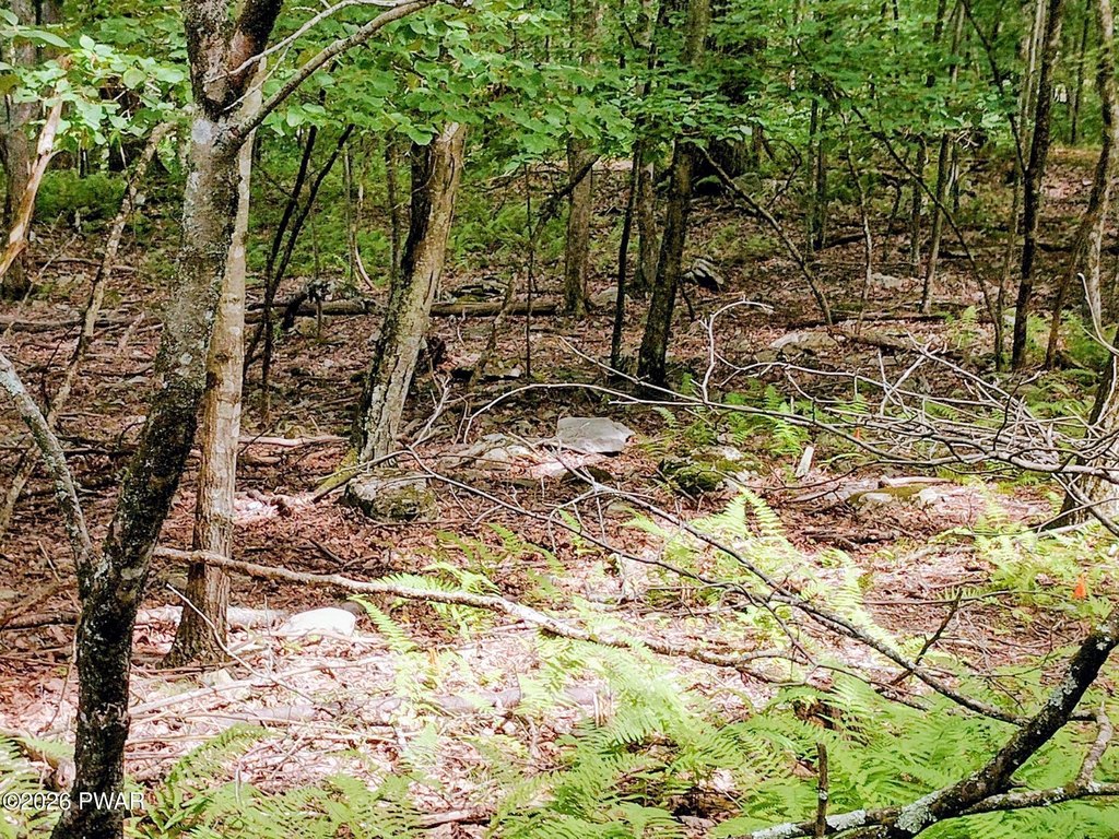 Picture 8