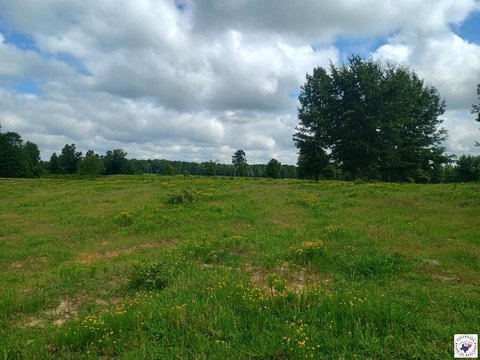 Rural Land Parcel