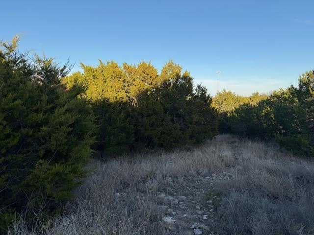 Picture 6
