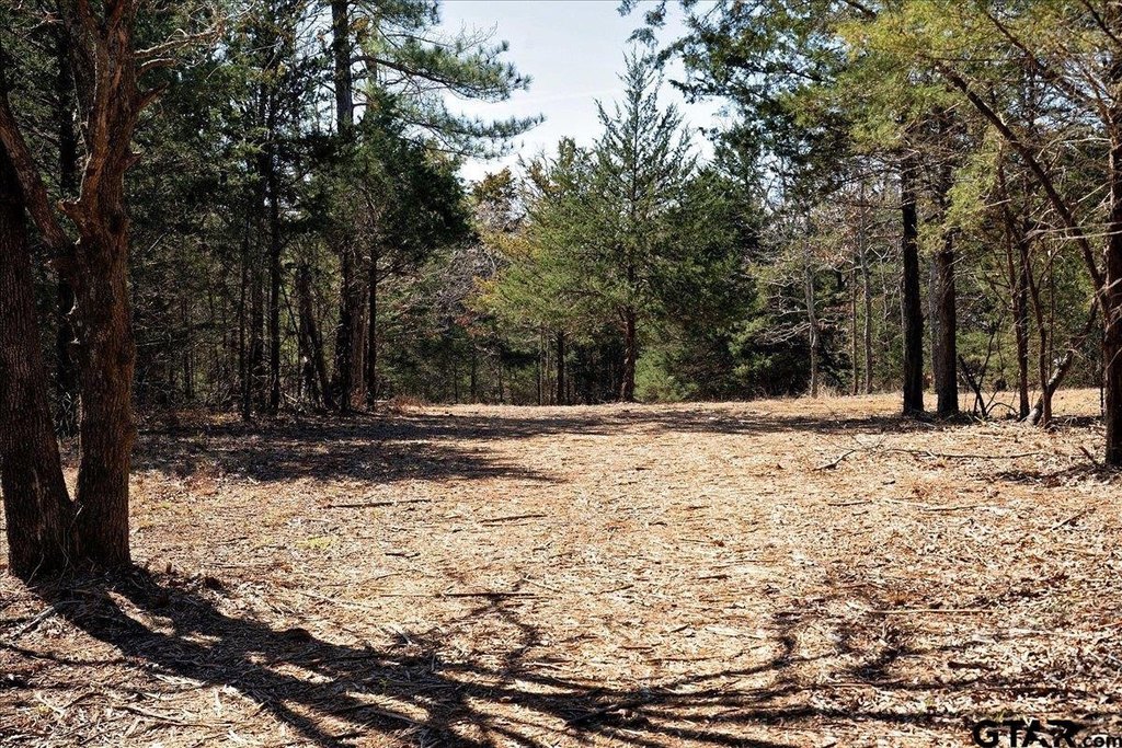 Picture 36