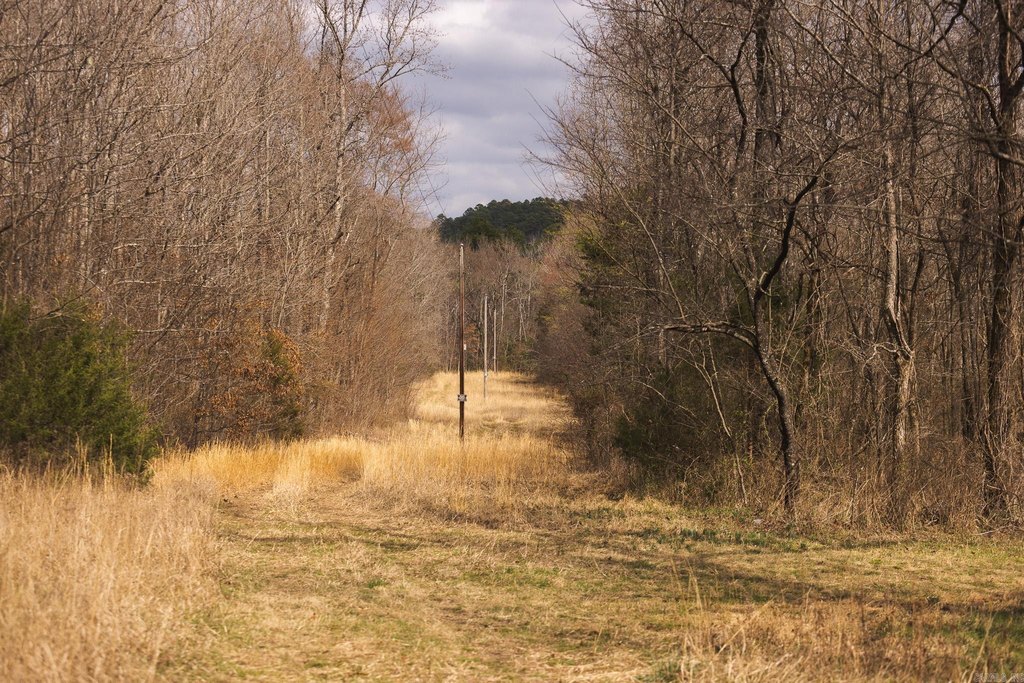 Picture 38