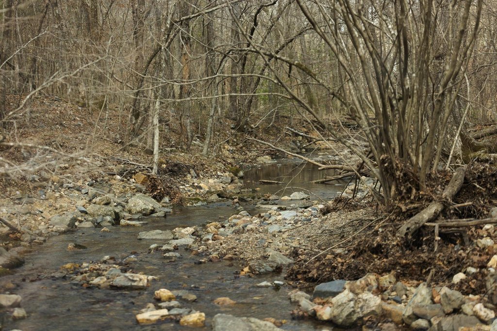Picture 44