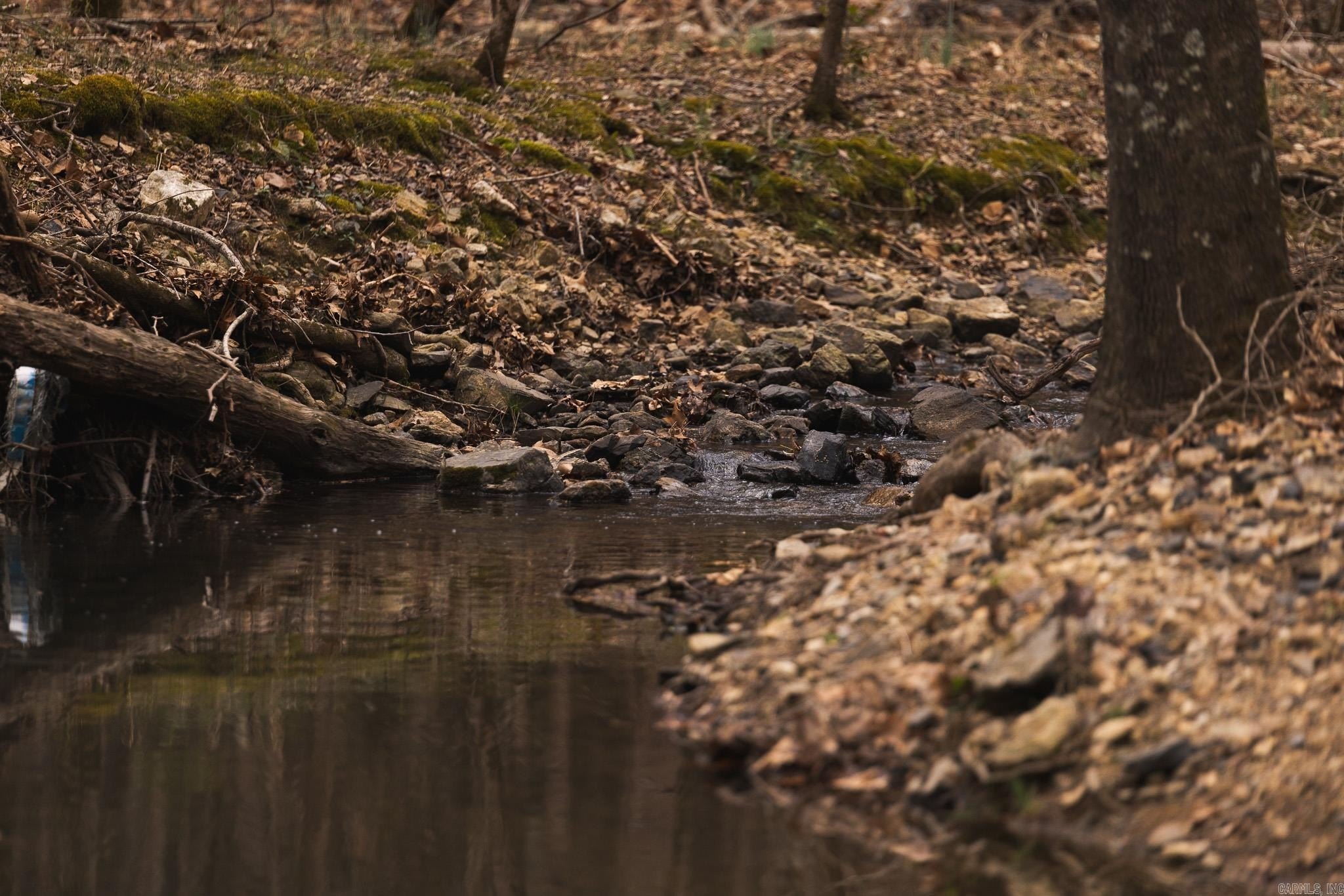 Ouachita Mountain Recreation and Hunting Land