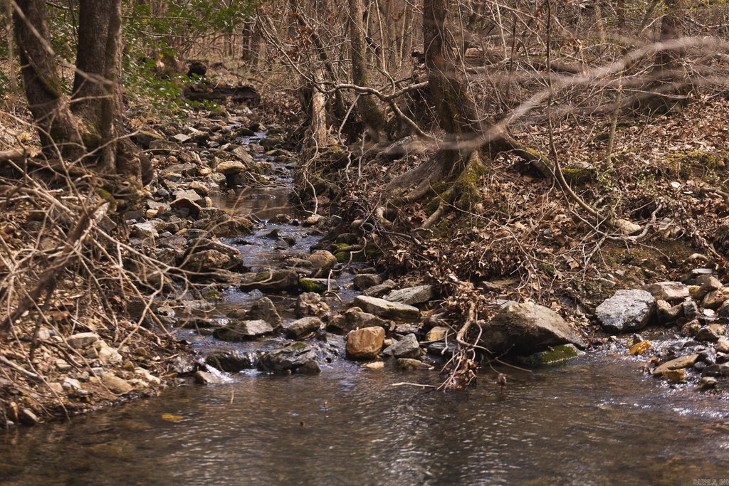 Picture 43