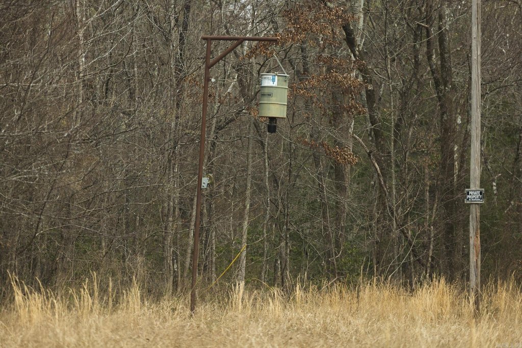 Picture 41