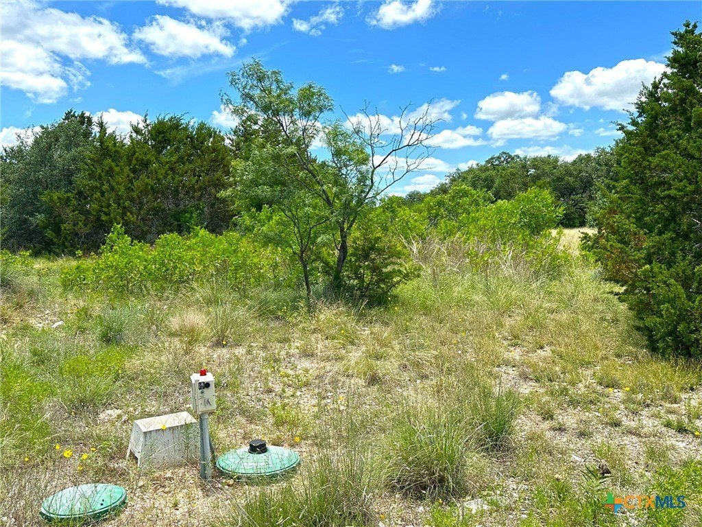 Picture 16