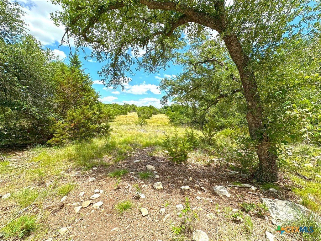 Picture 30